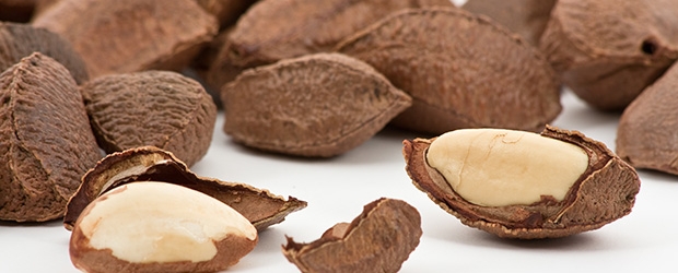 What is Brazil Nuts Selenium Poisoning?