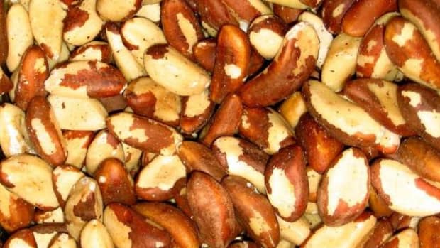 What is selenium and what are the benefits of Brazil nuts selenium?